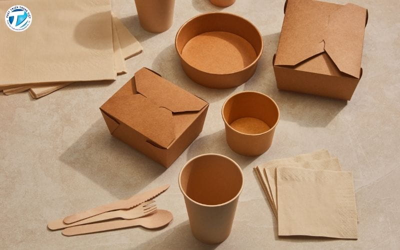 Bao bì giấy thân thiện với môi trường 
